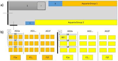 Tannins and copper sulphate as antimicrobial agents to prevent contamination of Posidonia oceanica seedling culture for restoration purposes